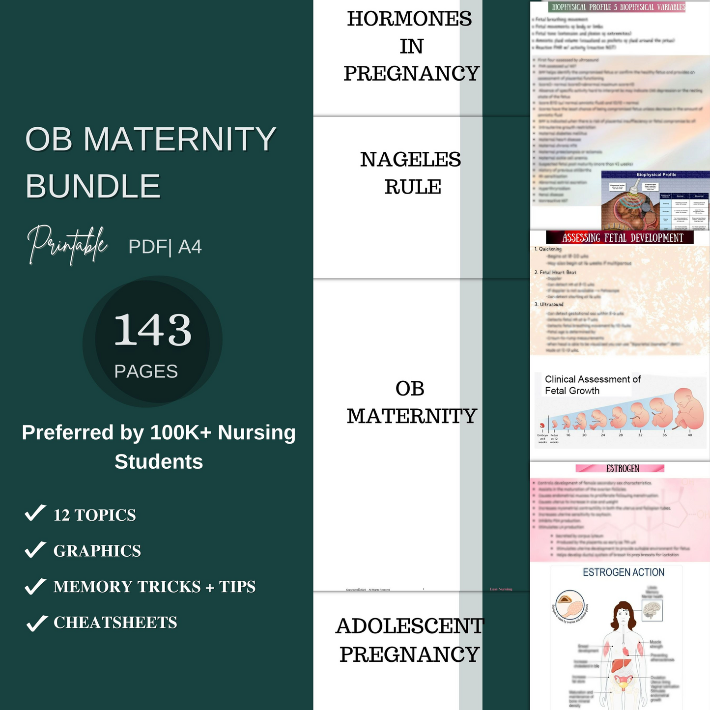 Ultimate Nursing School Bundle™ | All In One Nursing Study Guide - Nursing Focus