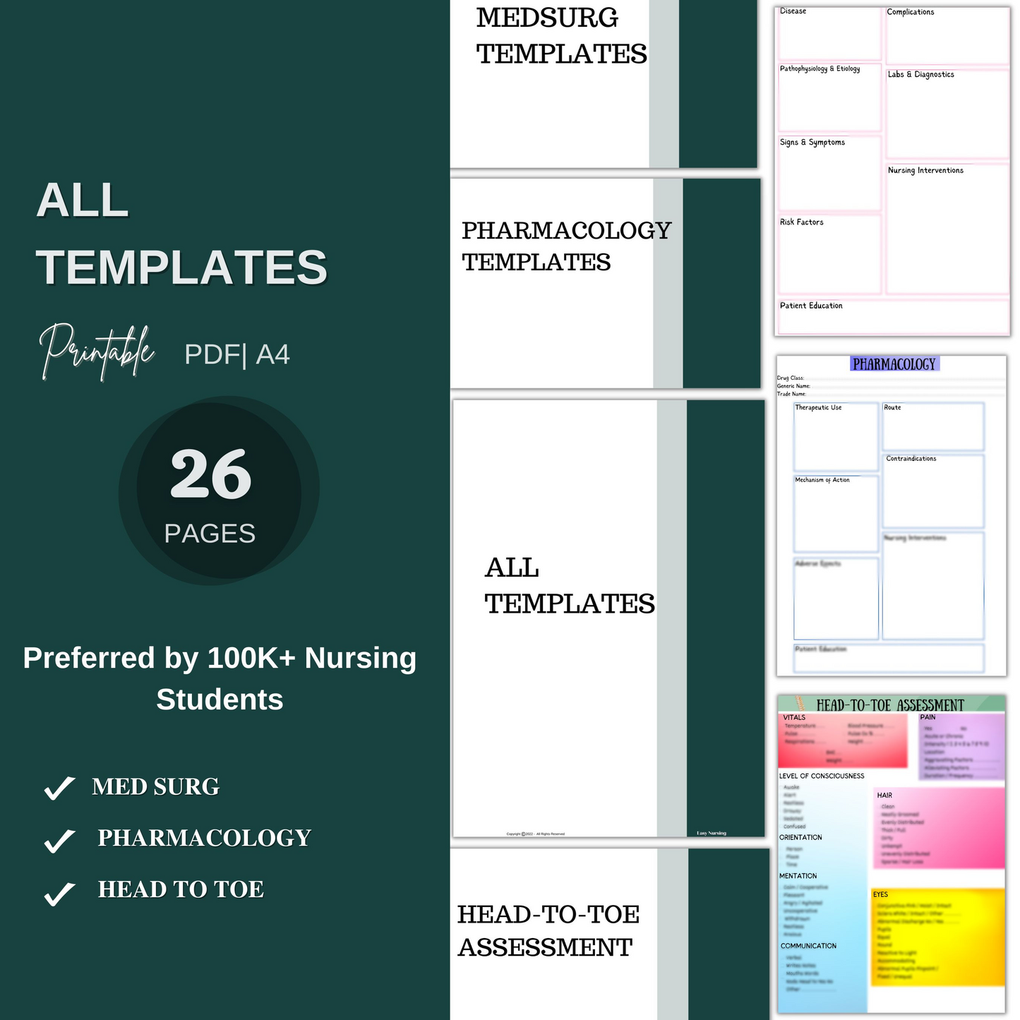 Ultimate Nursing School Bundle™ | All In One Nursing Study Guide