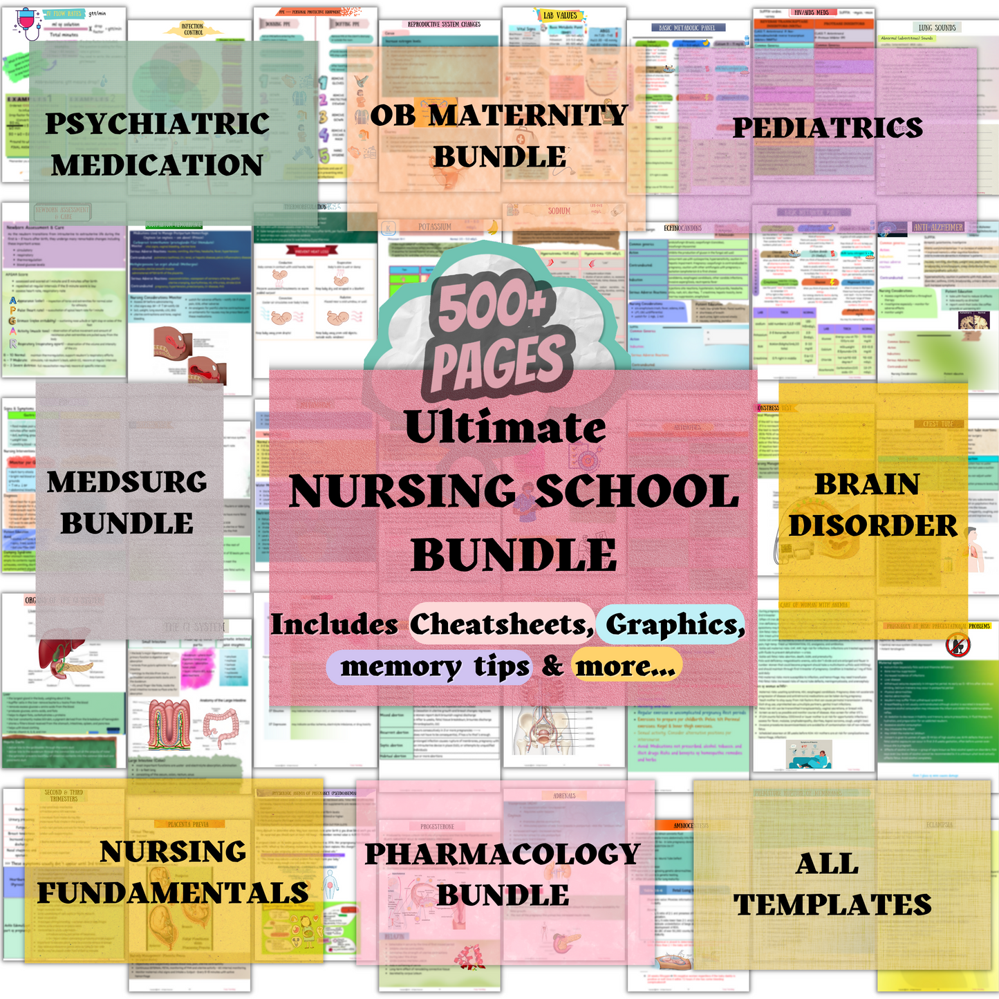 Ultimate Nursing School Bundle™ | All In One Nursing Study Guide