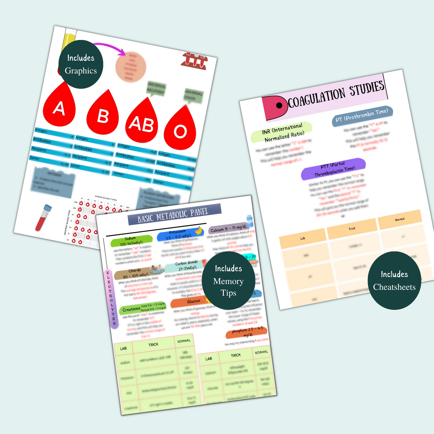 Fundamentals of Nursing Bundle - Nursing Focus