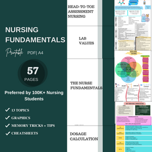 The Ultimate Nursing School Bundle | Spiral + Digital