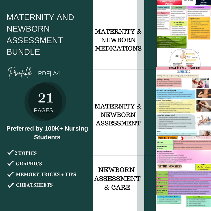 The Ultimate Nursing School Bundle | Nursing School & NCLEX Study Guid ...
