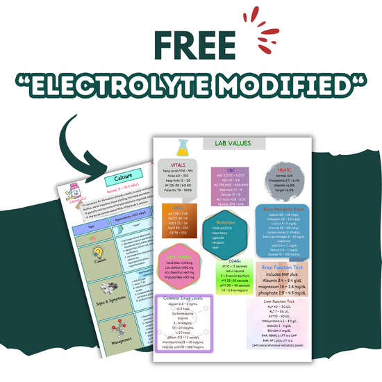 Download Electrolyte Study Guide