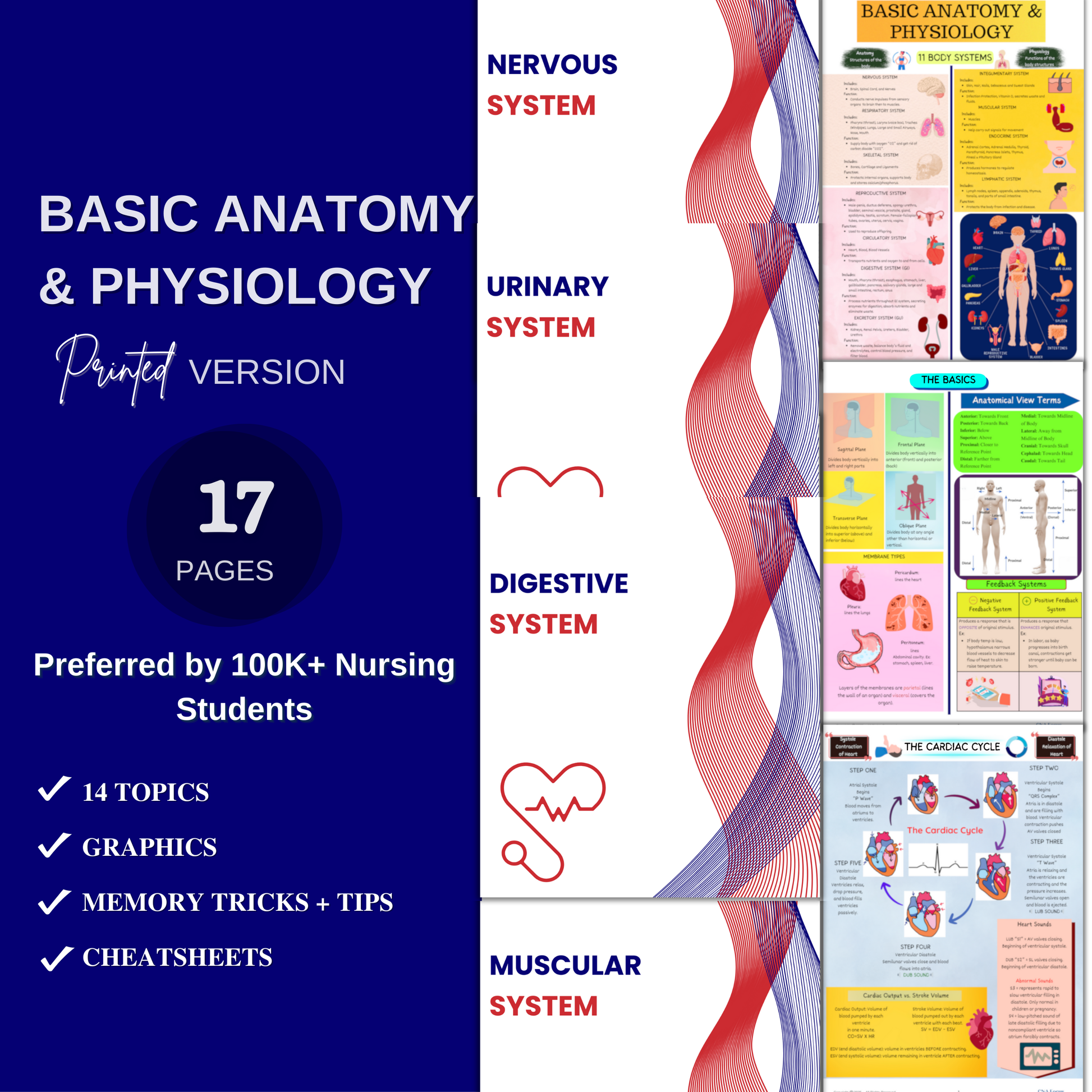 The Ultimate CNA Bundle