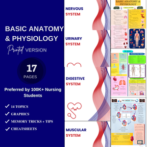 The Ultimate CNA Bundle
