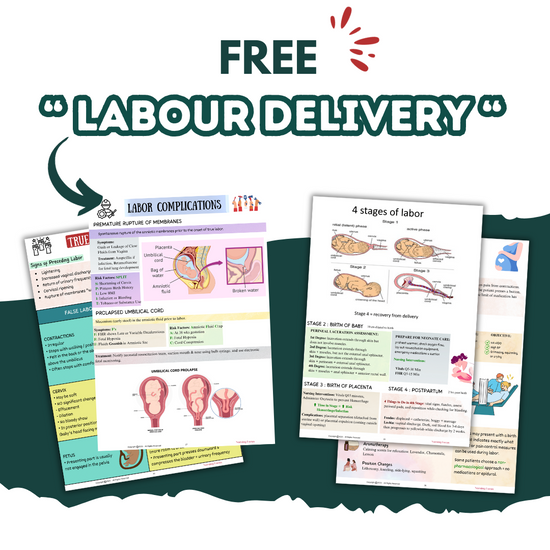 Download Labour and Delivery Study Guide