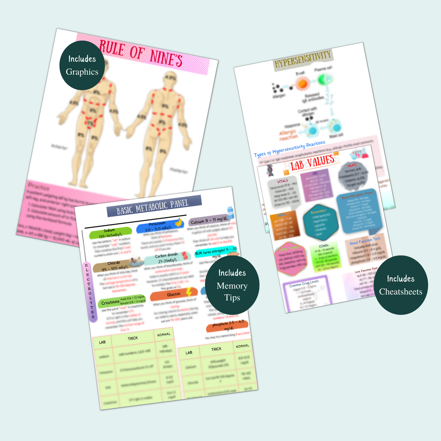 Med Surg Study Notes Bundle