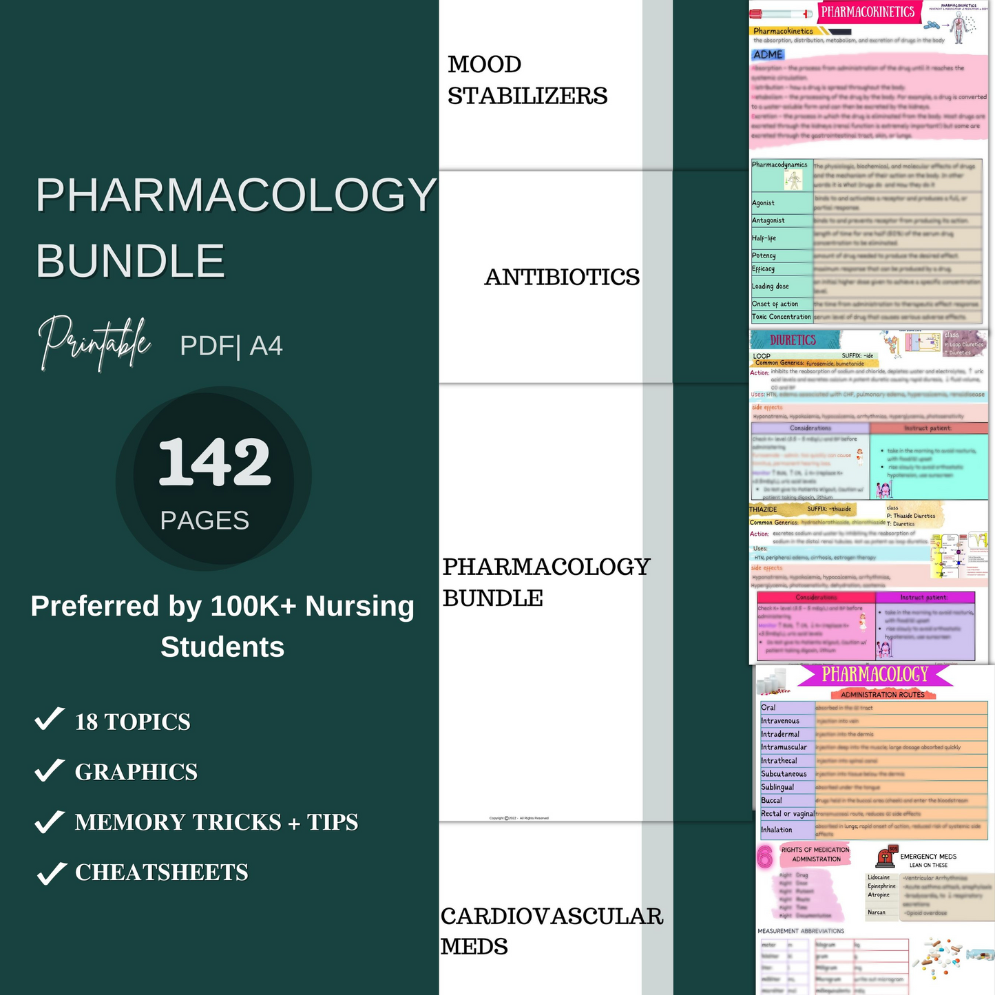 Ultimate Nursing School Bundle™