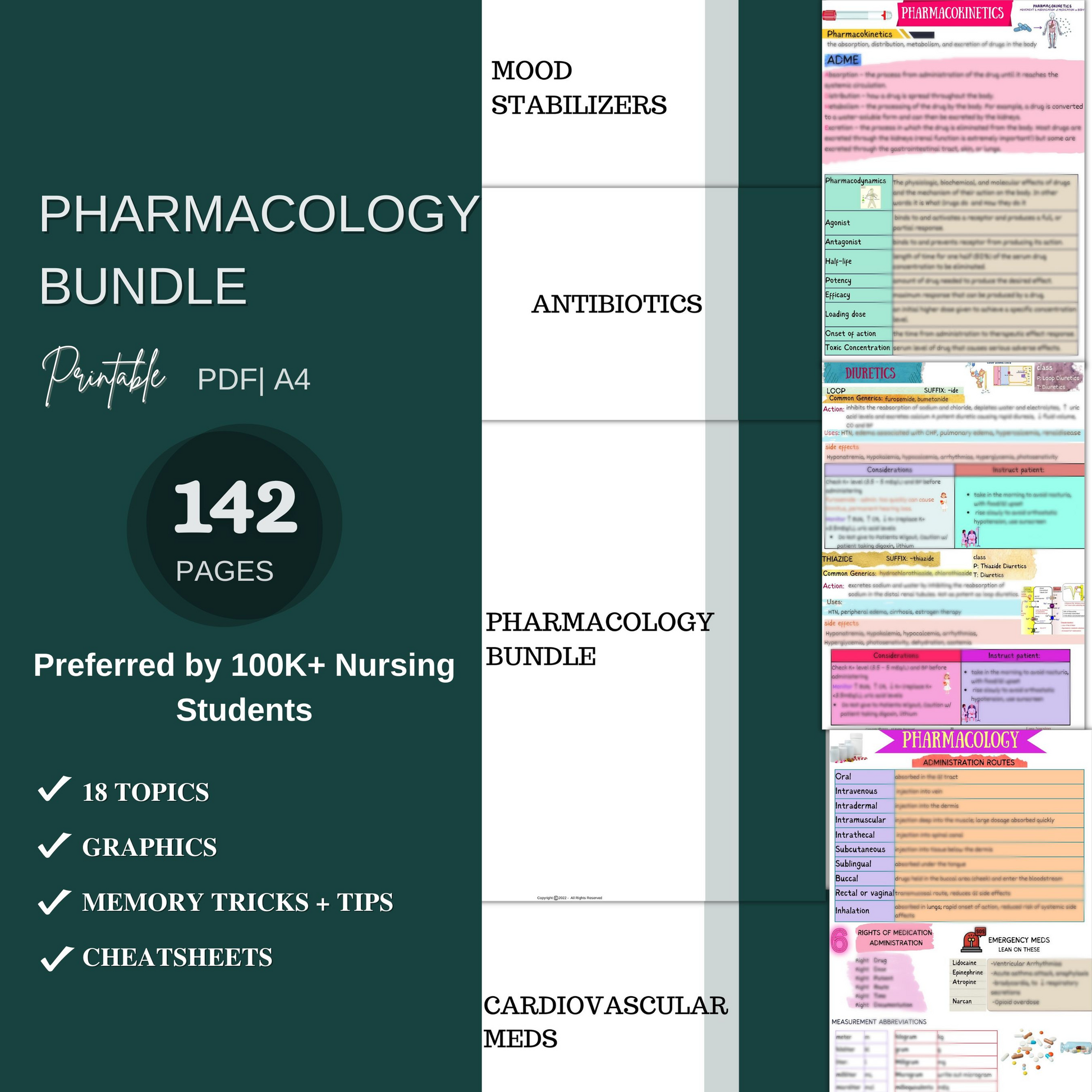 Ultimate Nursing School Bundle™