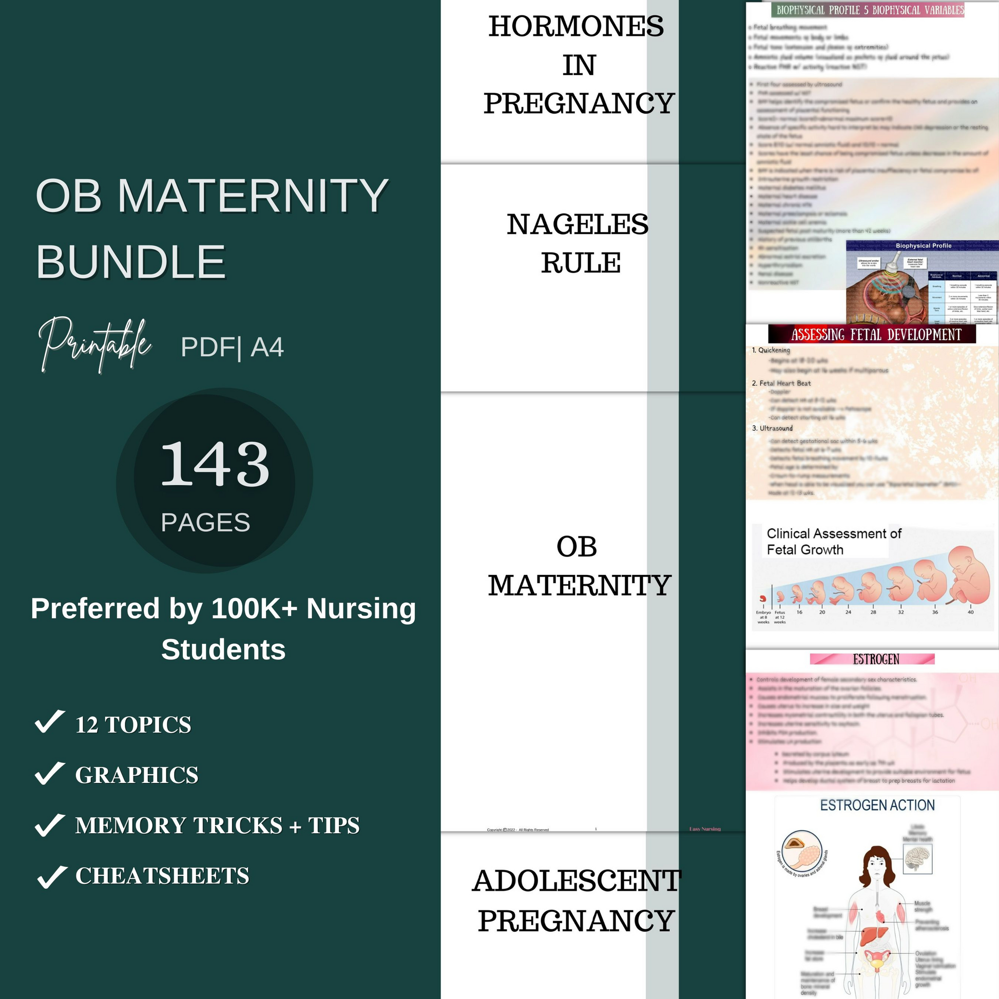 Ultimate Nursing School Bundle™ - Nursing Focus