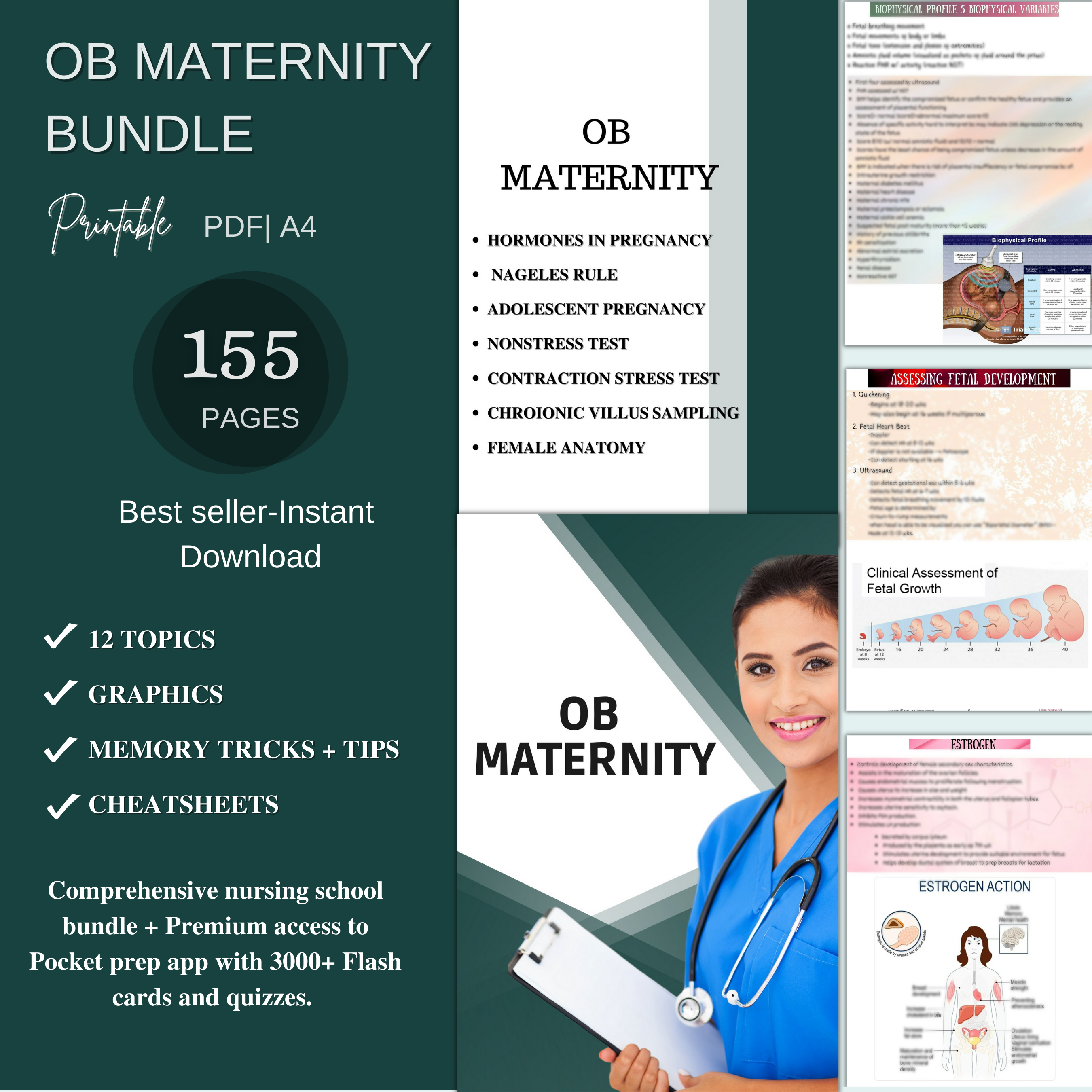 OB maternity bundle – Nursing Focus