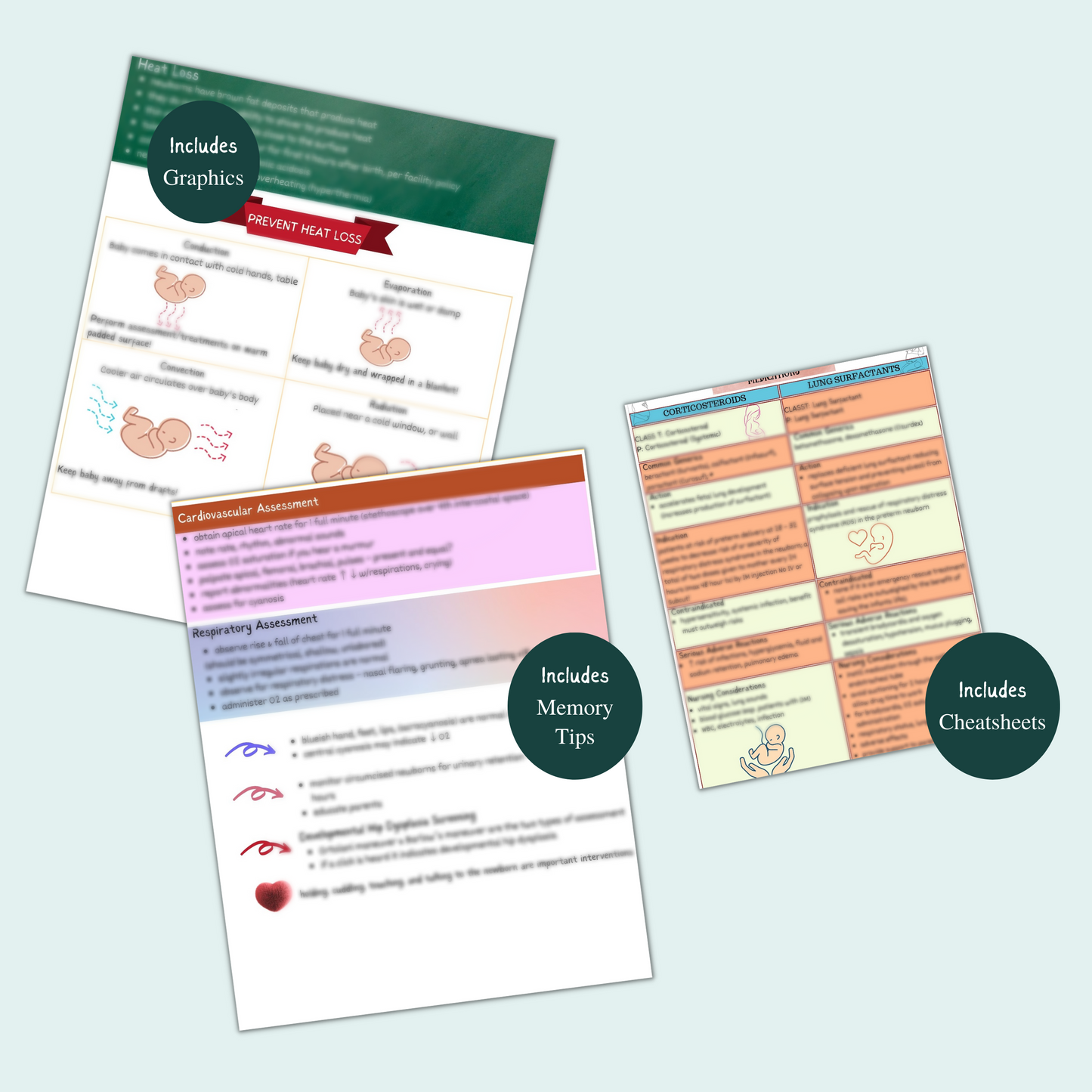 Maternity and New born assessment and care