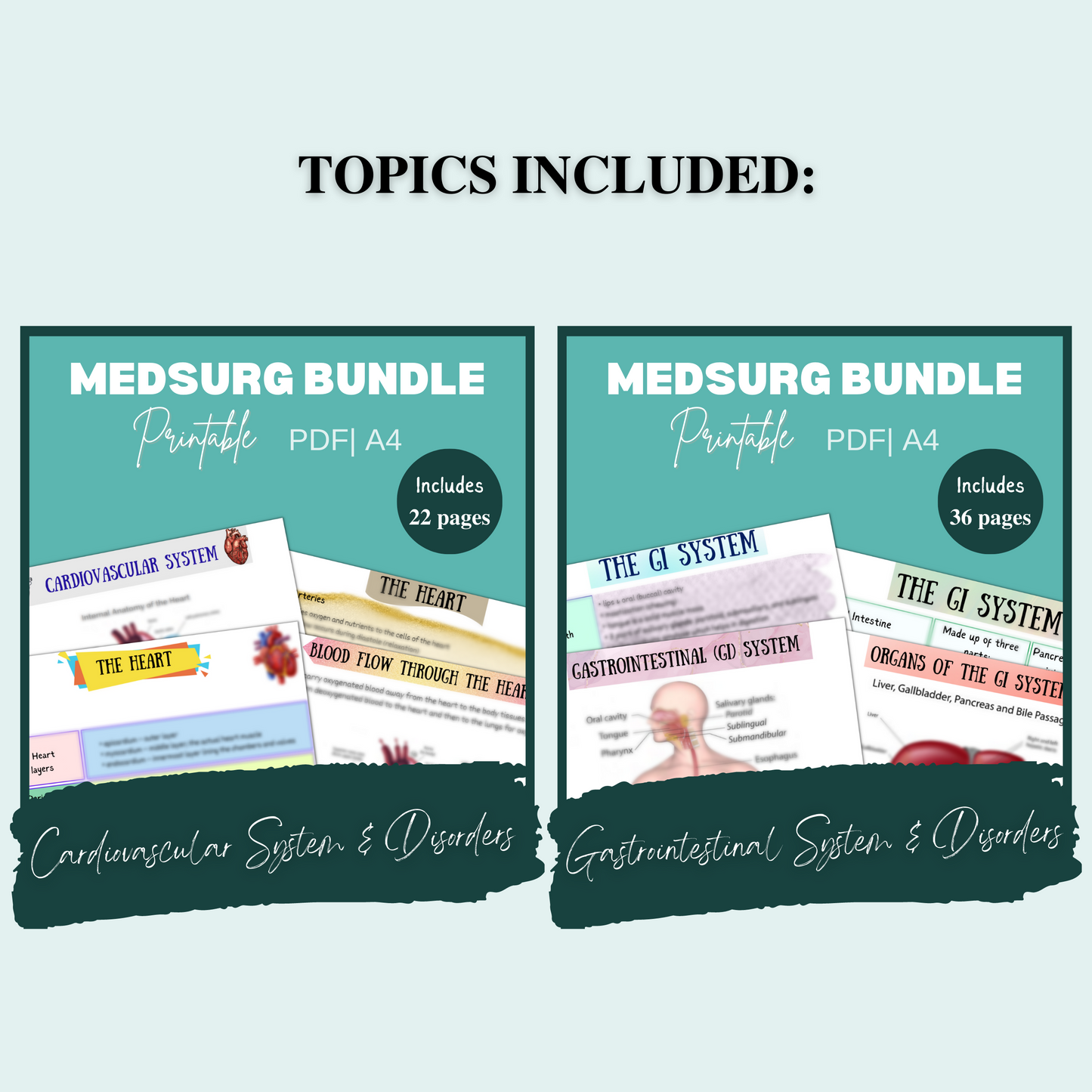 Med Surg Study Notes Bundle