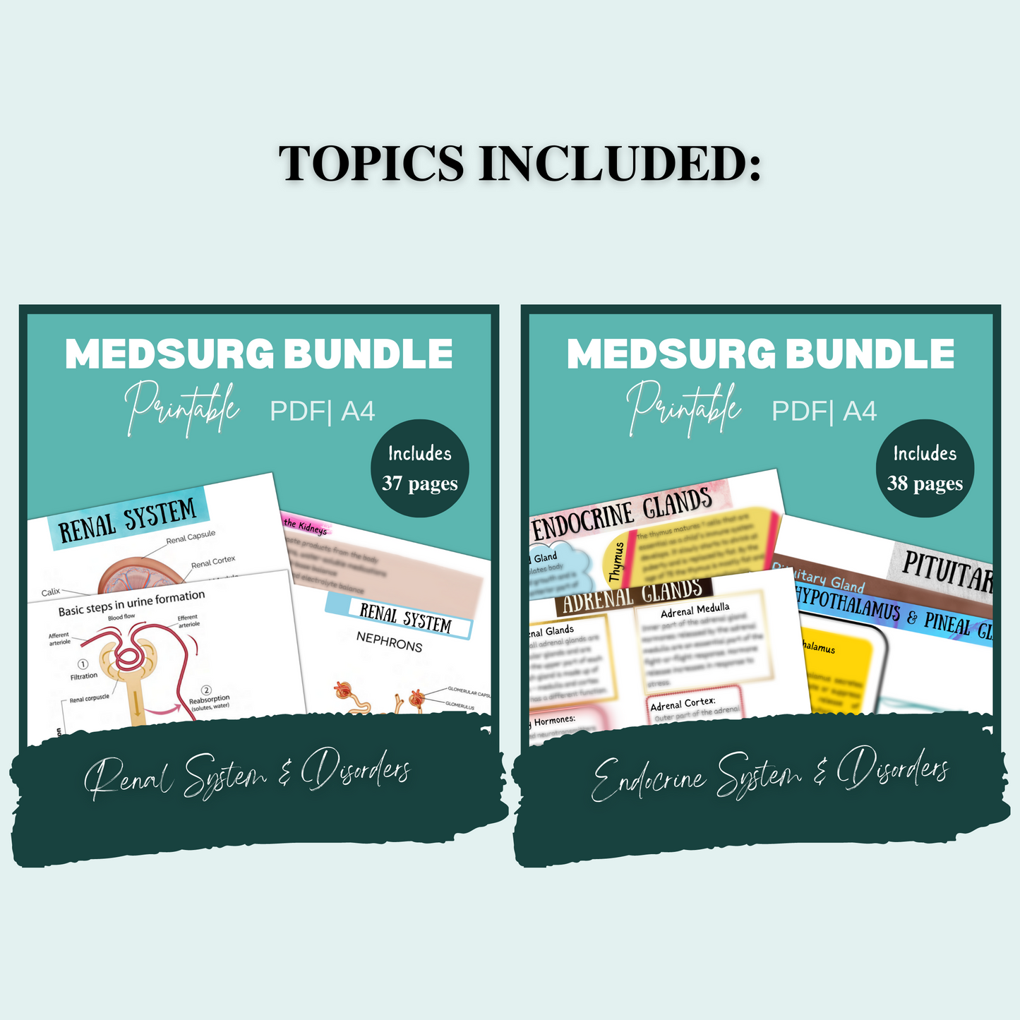 Med Surg Study Notes Bundle