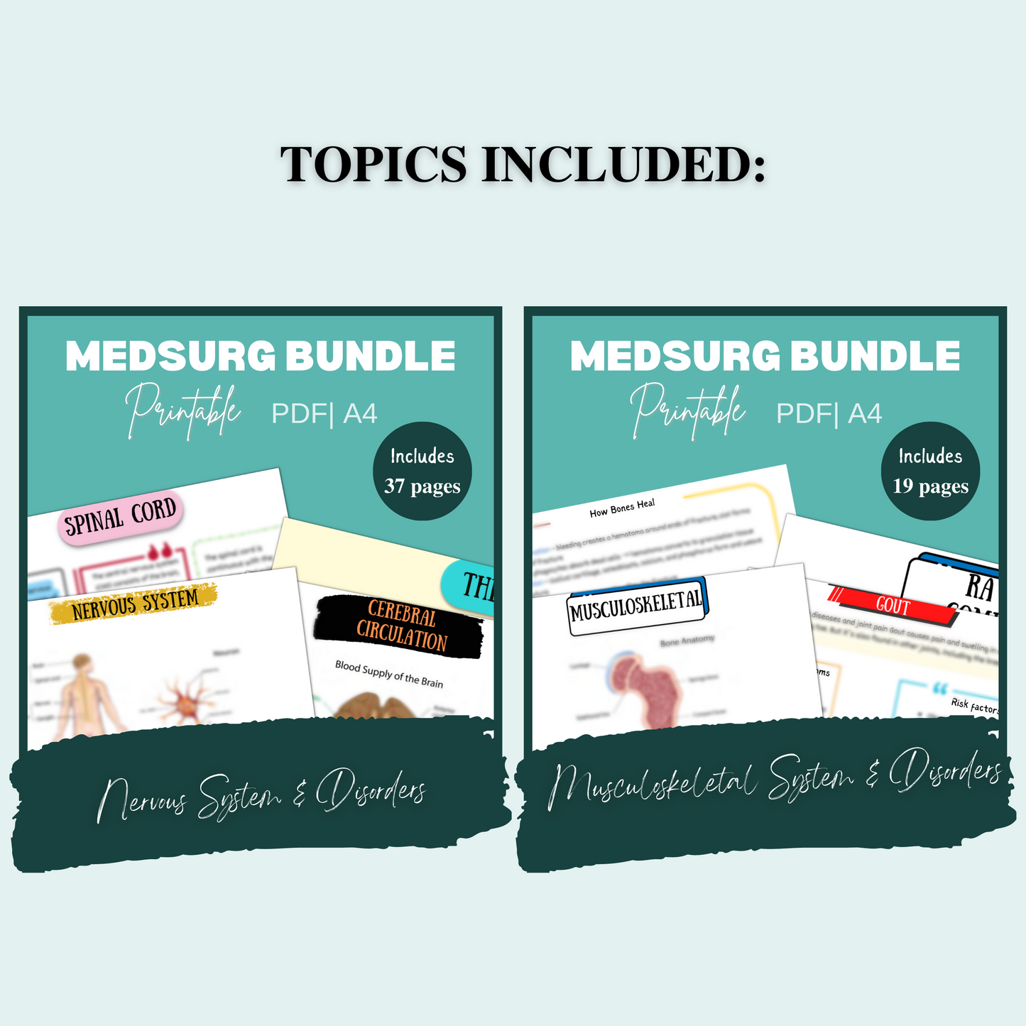 Med Surg Study Notes Bundle